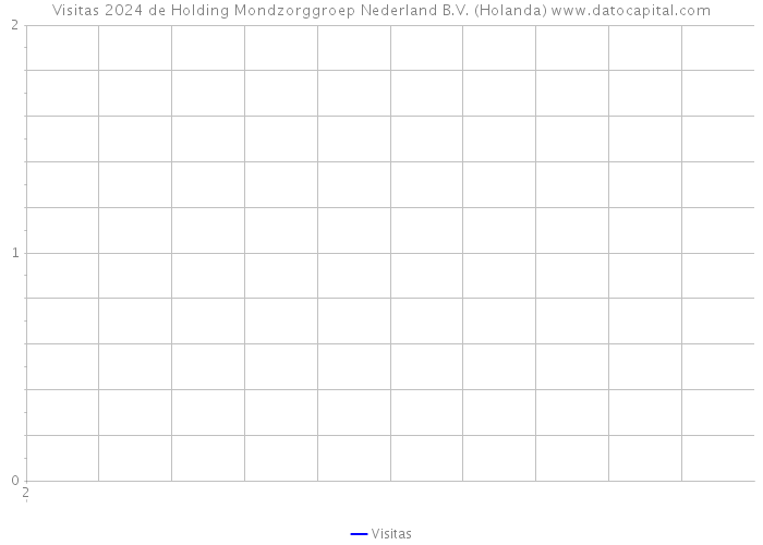 Visitas 2024 de Holding Mondzorggroep Nederland B.V. (Holanda) 