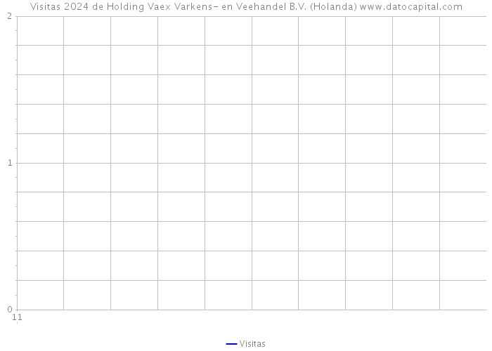 Visitas 2024 de Holding Vaex Varkens- en Veehandel B.V. (Holanda) 