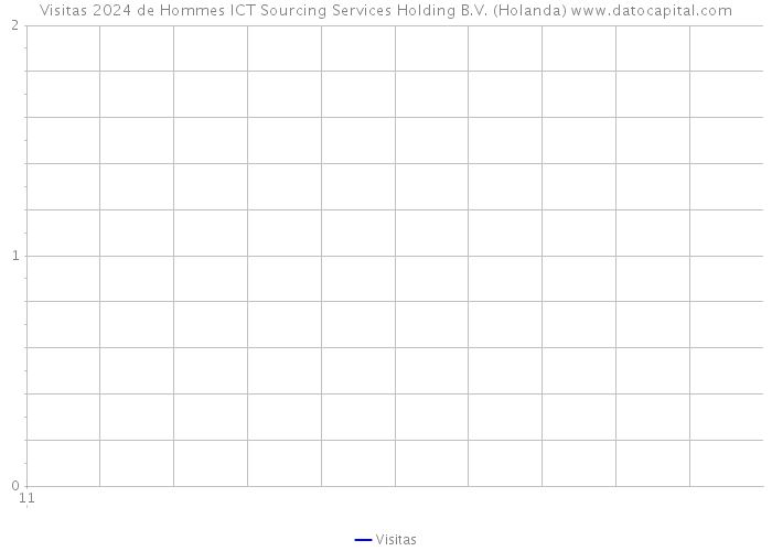 Visitas 2024 de Hommes ICT Sourcing Services Holding B.V. (Holanda) 