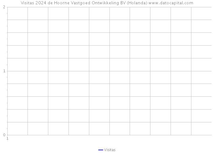 Visitas 2024 de Hoorne Vastgoed Ontwikkeling BV (Holanda) 