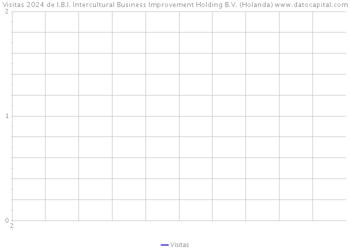 Visitas 2024 de I.B.I. Intercultural Business Improvement Holding B.V. (Holanda) 