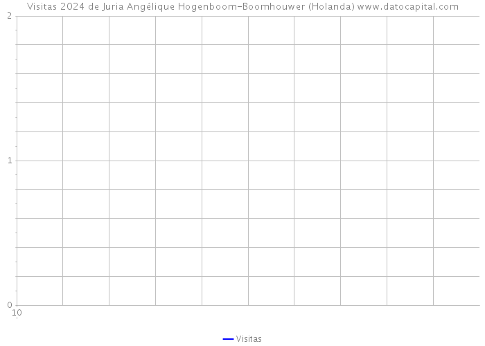 Visitas 2024 de Juria Angélique Hogenboom-Boomhouwer (Holanda) 