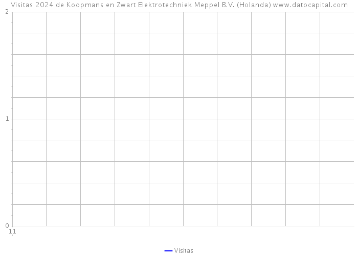 Visitas 2024 de Koopmans en Zwart Elektrotechniek Meppel B.V. (Holanda) 