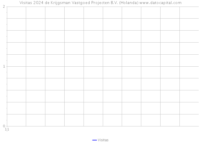 Visitas 2024 de Krijgsman Vastgoed Projecten B.V. (Holanda) 