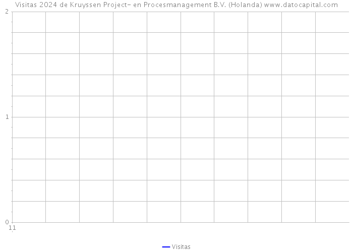 Visitas 2024 de Kruyssen Project- en Procesmanagement B.V. (Holanda) 