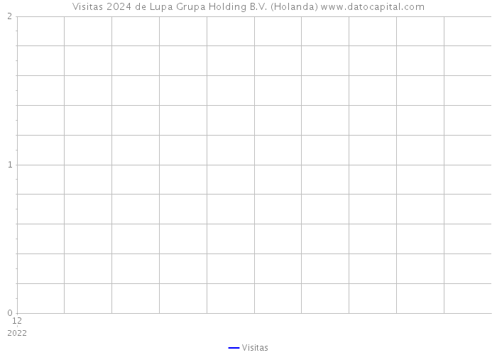 Visitas 2024 de Lupa Grupa Holding B.V. (Holanda) 