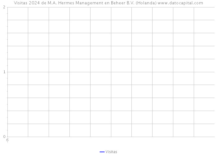 Visitas 2024 de M.A. Hermes Management en Beheer B.V. (Holanda) 