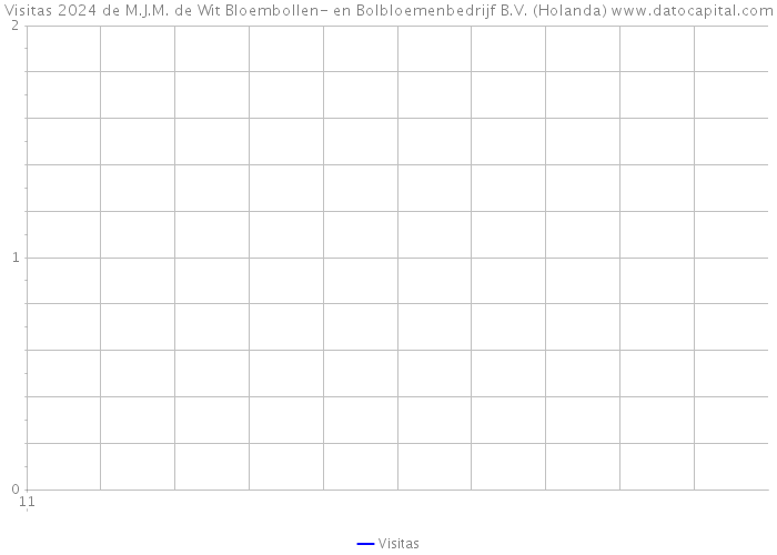 Visitas 2024 de M.J.M. de Wit Bloembollen- en Bolbloemenbedrijf B.V. (Holanda) 