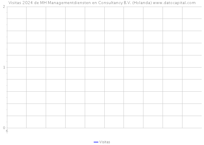 Visitas 2024 de MH Managementdiensten en Consultancy B.V. (Holanda) 