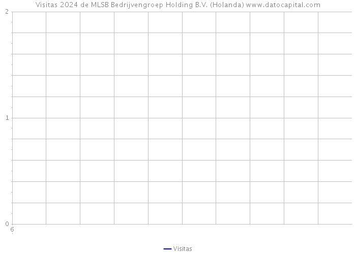 Visitas 2024 de MLSB Bedrijvengroep Holding B.V. (Holanda) 