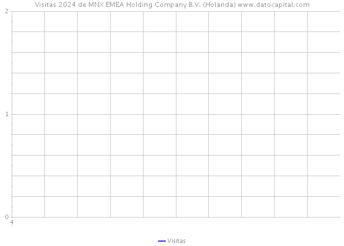 Visitas 2024 de MNX EMEA Holding Company B.V. (Holanda) 
