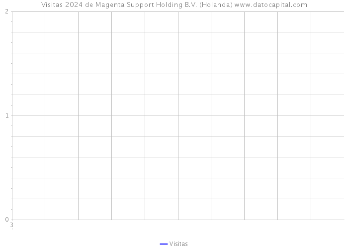 Visitas 2024 de Magenta Support Holding B.V. (Holanda) 