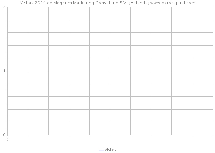 Visitas 2024 de Magnum Marketing Consulting B.V. (Holanda) 