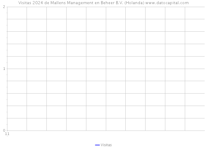Visitas 2024 de Mallens Management en Beheer B.V. (Holanda) 