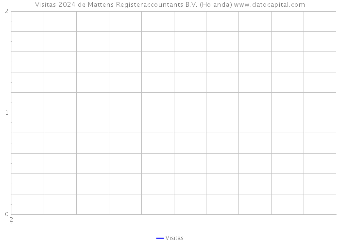 Visitas 2024 de Mattens Registeraccountants B.V. (Holanda) 