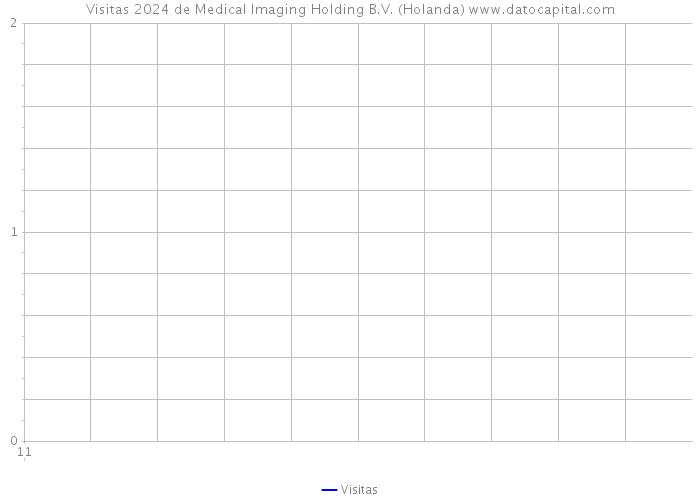 Visitas 2024 de Medical Imaging Holding B.V. (Holanda) 