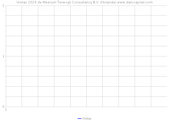 Visitas 2024 de Meerum Terwogt Consultancy B.V. (Holanda) 