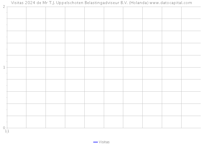 Visitas 2024 de Mr T.J. Uppelschoten Belastingadviseur B.V. (Holanda) 