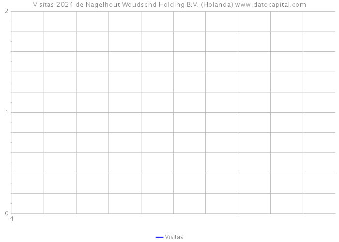 Visitas 2024 de Nagelhout Woudsend Holding B.V. (Holanda) 