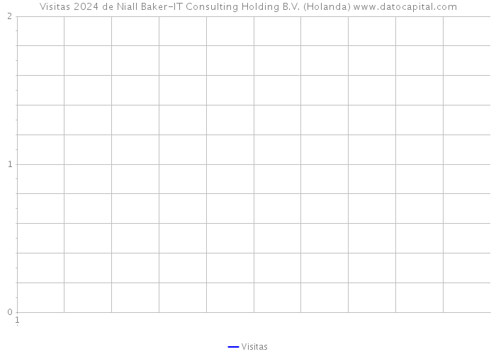 Visitas 2024 de Niall Baker-IT Consulting Holding B.V. (Holanda) 