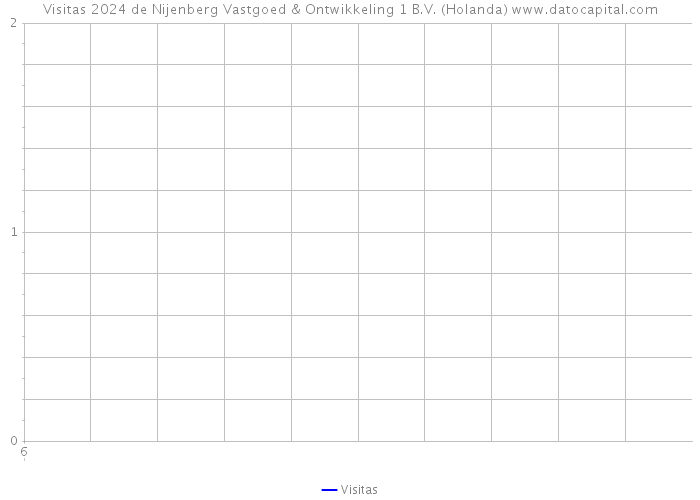 Visitas 2024 de Nijenberg Vastgoed & Ontwikkeling 1 B.V. (Holanda) 