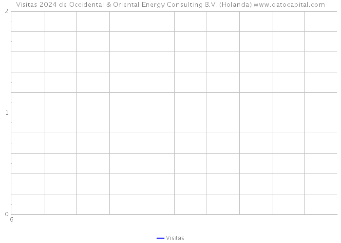 Visitas 2024 de Occidental & Oriental Energy Consulting B.V. (Holanda) 
