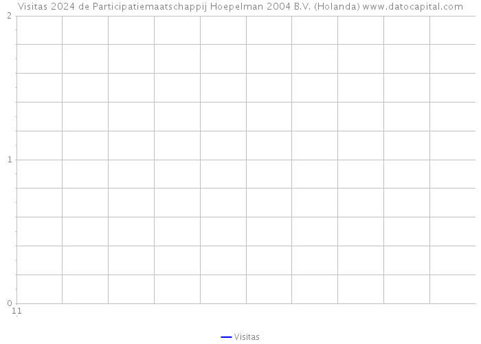 Visitas 2024 de Participatiemaatschappij Hoepelman 2004 B.V. (Holanda) 