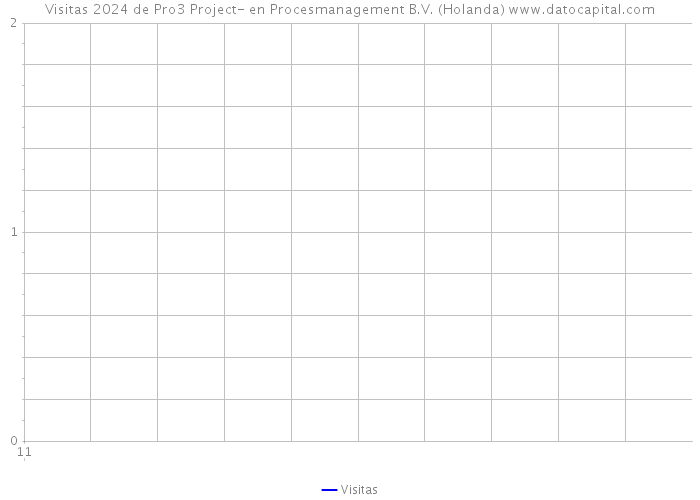 Visitas 2024 de Pro3 Project- en Procesmanagement B.V. (Holanda) 