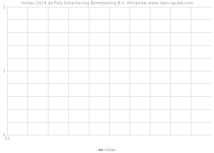 Visitas 2024 de Pulz Detachering Bemiddeling B.V. (Holanda) 