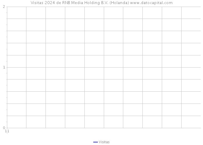 Visitas 2024 de RNB Media Holding B.V. (Holanda) 