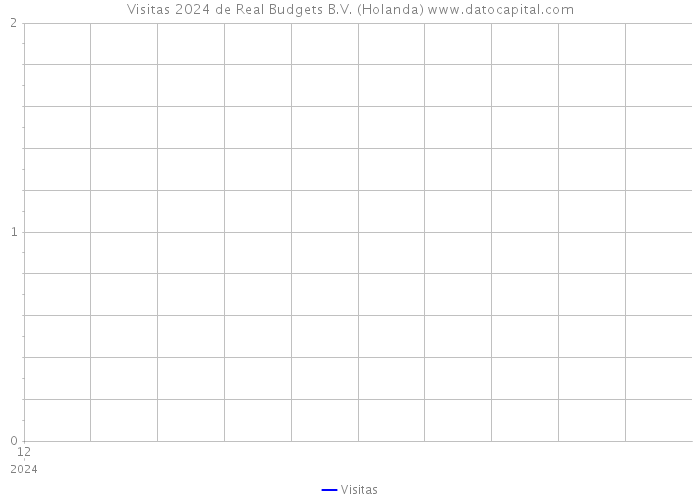 Visitas 2024 de Real Budgets B.V. (Holanda) 