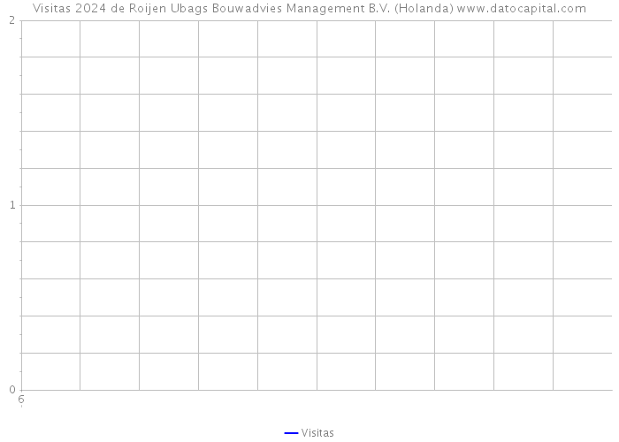 Visitas 2024 de Roijen+Ubags Bouwadvies+Management B.V. (Holanda) 