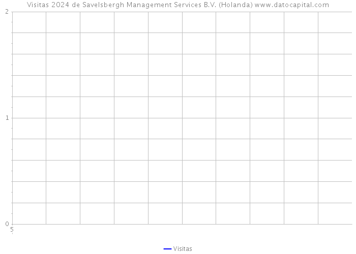 Visitas 2024 de Savelsbergh Management Services B.V. (Holanda) 