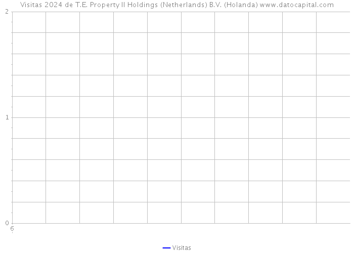 Visitas 2024 de T.E. Property II Holdings (Netherlands) B.V. (Holanda) 