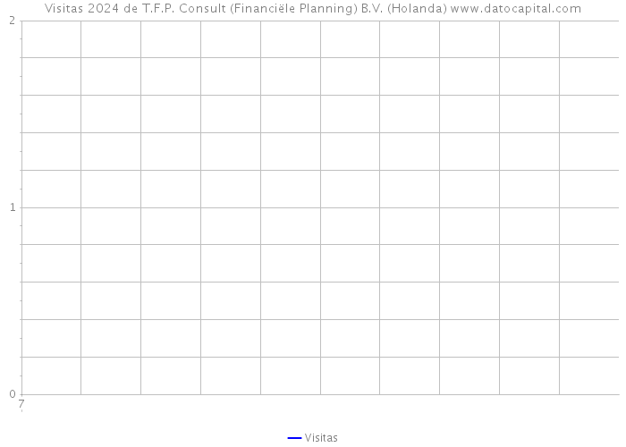Visitas 2024 de T.F.P. Consult (Financiële Planning) B.V. (Holanda) 