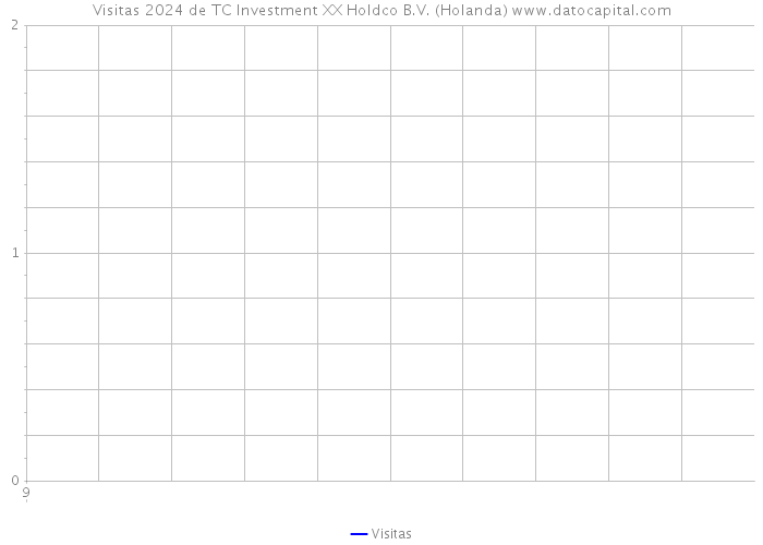 Visitas 2024 de TC Investment XX Holdco B.V. (Holanda) 