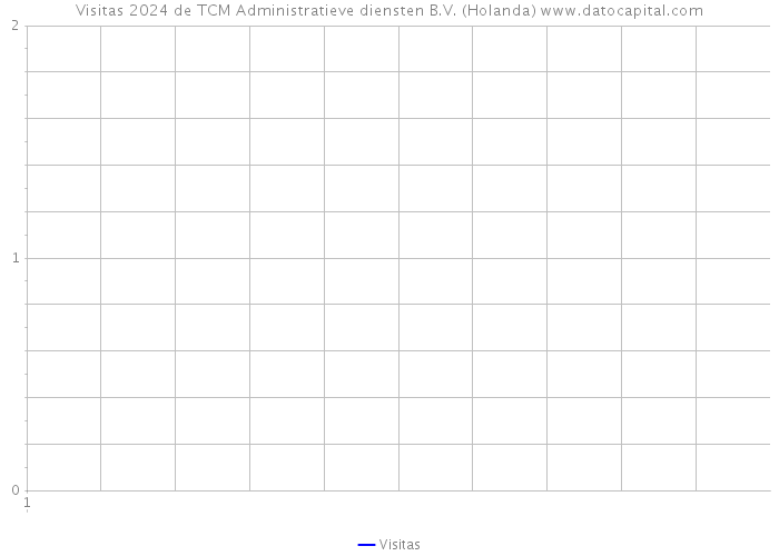 Visitas 2024 de TCM Administratieve diensten B.V. (Holanda) 