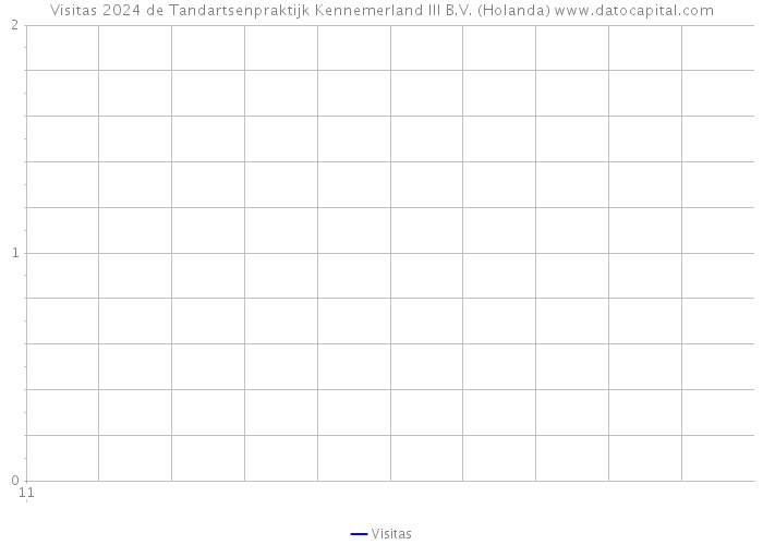 Visitas 2024 de Tandartsenpraktijk Kennemerland III B.V. (Holanda) 