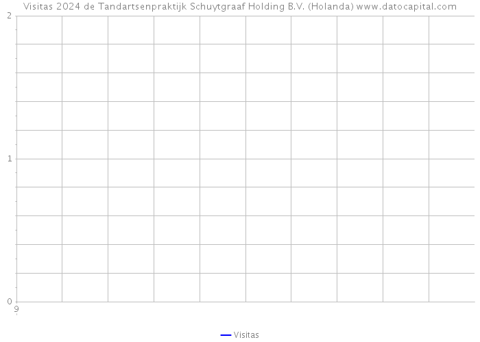 Visitas 2024 de Tandartsenpraktijk Schuytgraaf Holding B.V. (Holanda) 