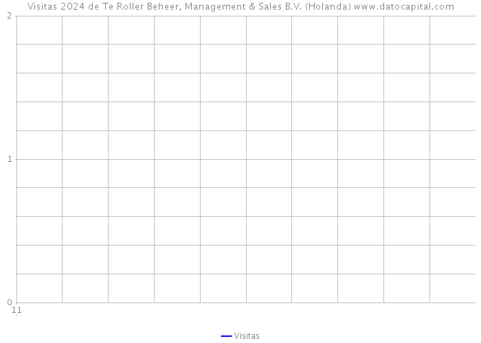 Visitas 2024 de Te Roller Beheer, Management & Sales B.V. (Holanda) 