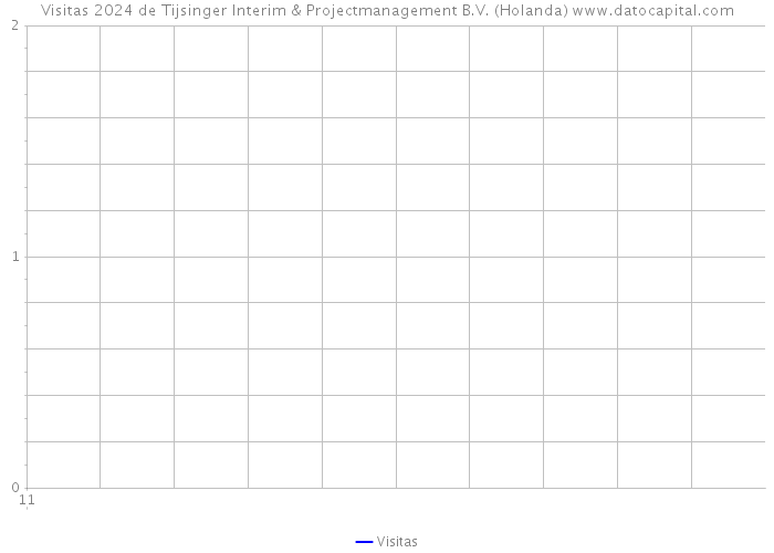 Visitas 2024 de Tijsinger Interim & Projectmanagement B.V. (Holanda) 
