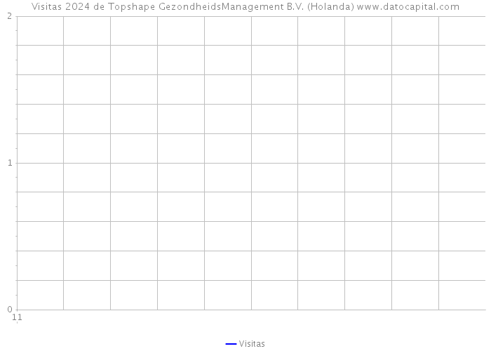 Visitas 2024 de Topshape GezondheidsManagement B.V. (Holanda) 