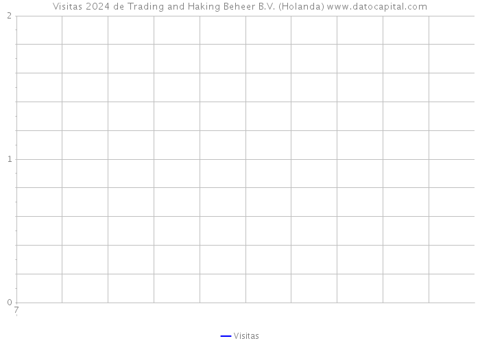 Visitas 2024 de Trading and Haking Beheer B.V. (Holanda) 