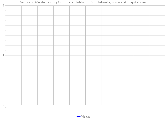 Visitas 2024 de Turing Complete Holding B.V. (Holanda) 