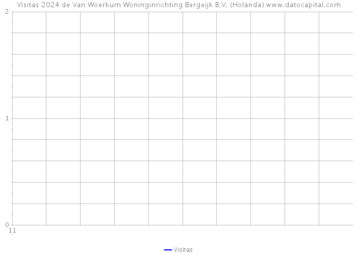 Visitas 2024 de Van Woerkum Woninginrichting Bergeijk B.V. (Holanda) 