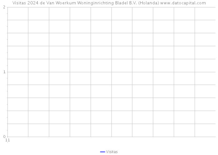 Visitas 2024 de Van Woerkum Woninginrichting Bladel B.V. (Holanda) 