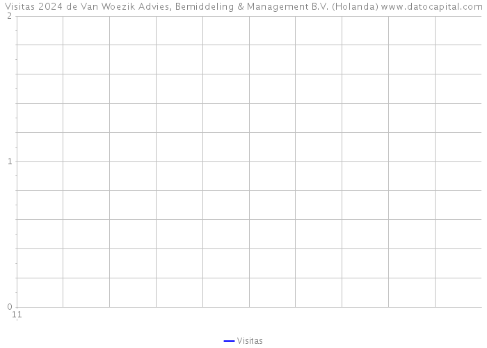 Visitas 2024 de Van Woezik Advies, Bemiddeling & Management B.V. (Holanda) 