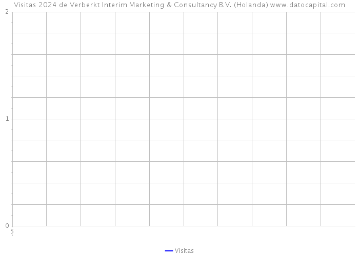 Visitas 2024 de Verberkt Interim Marketing & Consultancy B.V. (Holanda) 
