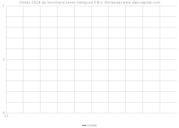 Visitas 2024 de Verzilverd Leven Vastgoed II B.V. (Holanda) 