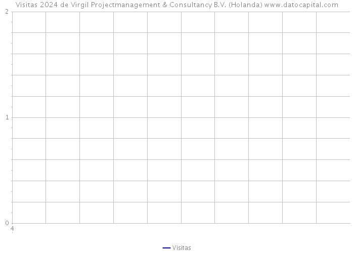 Visitas 2024 de Virgil Projectmanagement & Consultancy B.V. (Holanda) 